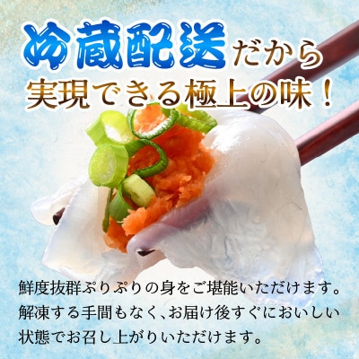 若狭ふぐ　てっさ　(8人前)