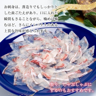 マハタの刺身と煮付けのセット