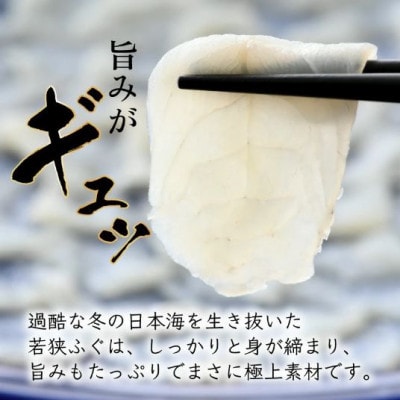 福井県小浜市産若狭ふぐとマハタ刺身4人前