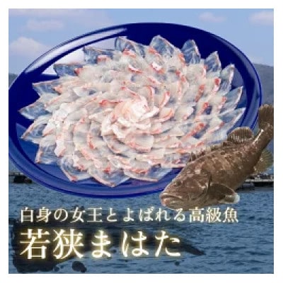 若狭マハタ刺身2人前