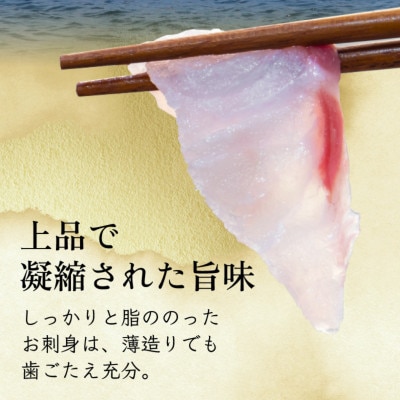 若狭マハタ刺身2人前