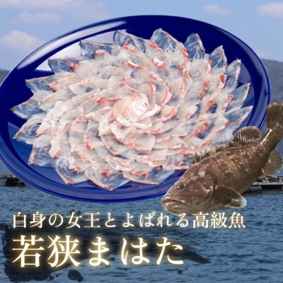 若狭マハタ刺身4人前