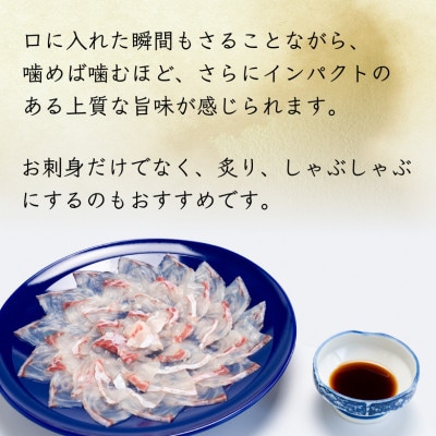 若狭マハタ刺身4人前