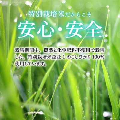 若狭の恵　プレミアム米粉セット(2.3kg)