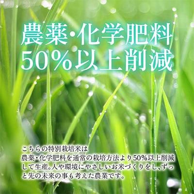 令和6年産　福井県産特別栽培米コシヒカリ　玄米10kg×2