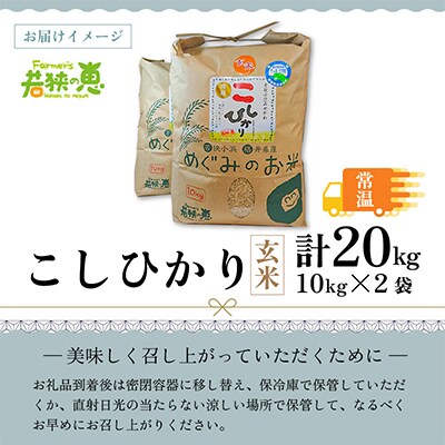 売れ筋・人気アイテム 商品 福井県産特別栽培米コシヒカリ 令和6年産 玄米10kg×2 福井県 | 米・雑穀・粉類