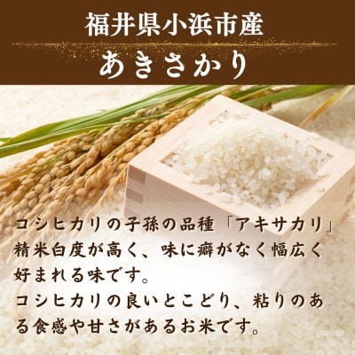 令和8年産【新米】福井県産あきさかり　一等米　白米10kg