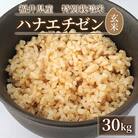 令和6年産　福井県産ハナエチゼン(玄米30kg)若狭の恵のお米