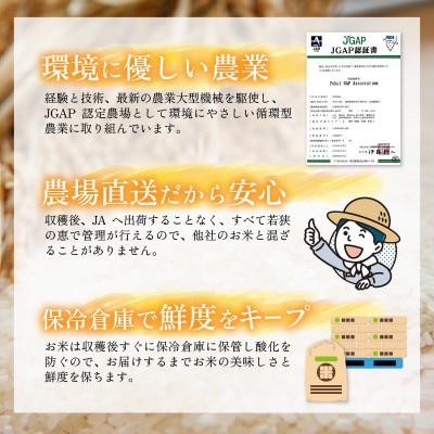 令和6年産　福井県産ハナエチゼン(玄米30kg)若狭の恵のお米