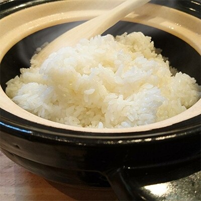 【2023年3月下旬発送】令和4年産　白米5kg　福井県産　特別栽培米はなえちぜん　