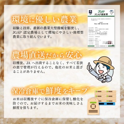 令和6年産　白米5kg　福井県産　特別栽培米ハナエチゼン　若狭の恵のお米(一等米)