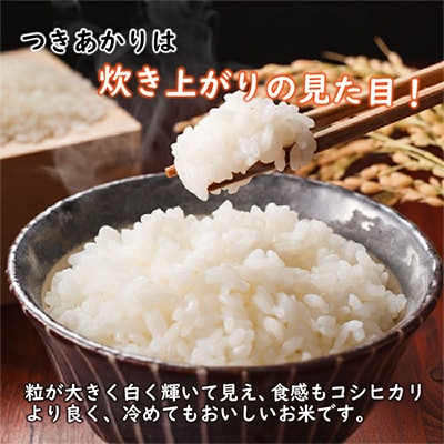 令和6年産　白米10kg　福井県産　つきあかり　若狭の恵のお米(一等米)