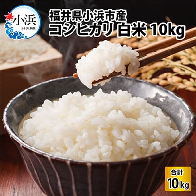 令和5年産 福井県産コシヒカリ(白米10kg)