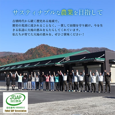 令和5年産 福井県産コシヒカリ(白米10kg)
