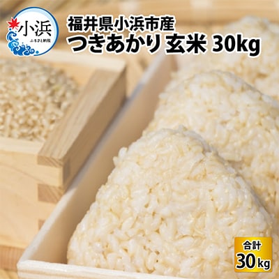令和6年産 福井県産 つきあかり(玄米30kg)若狭の恵のお米 | 福井