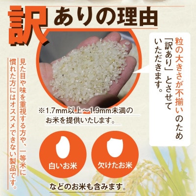 【訳あり】フードロス応援米 20kg(10kg×2袋)