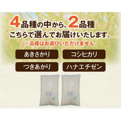 【訳あり】フードロス応援米 20kg(10kg×2袋)
