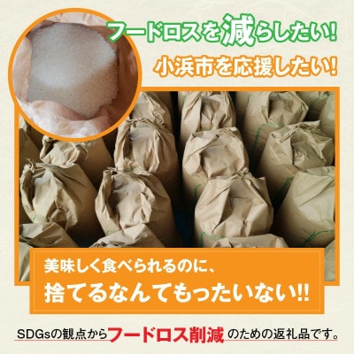 【訳あり】フードロス応援米 20kg(10kg×2袋)