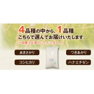 【訳あり】フードロス応援米 10kg(10kg×1袋)