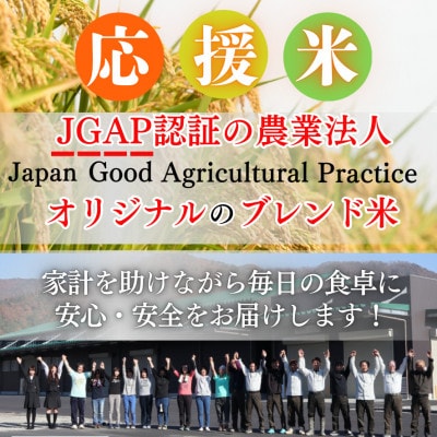 令和7年産　家計応援米 10kg(10kg×1袋)