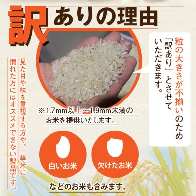 令和8年産　農家応援米 10kg(10kg×1袋)