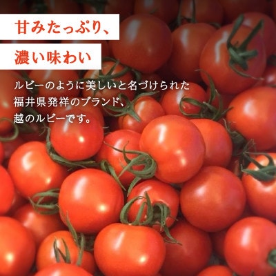若狭の恵　めぐみでぃトマト　計3kg