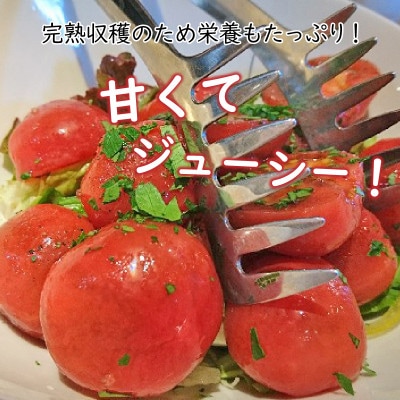 若狭の恵　めぐみでぃトマト　計3kg