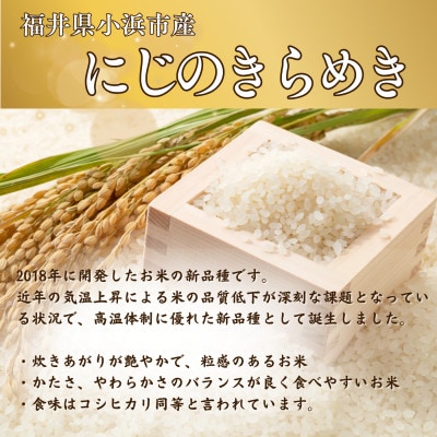 令和8年産【新米】福井県産にじのきらめき 一等米　白米10kg