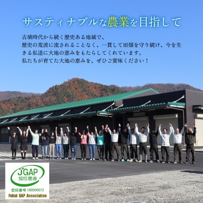 令和8年産【新米】福井県産にじのきらめき 一等米　白米10kg