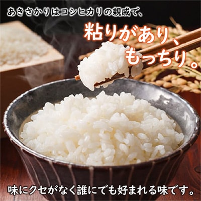 【2ヵ月毎定期便】【さとふる限定】福井県産あきさかり(白米10kg) 全6回