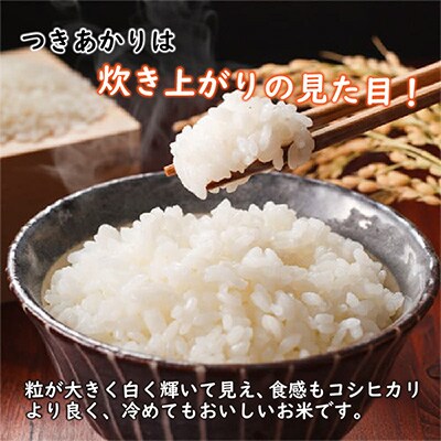 【2ヵ月毎定期便】【さとふる限定】福井県産つきあかり　白米10kg　若狭の恵のお米 全3回