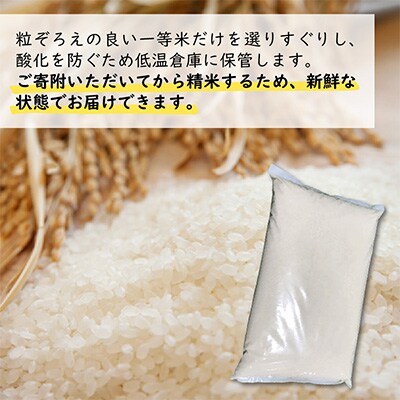 【2ヵ月毎定期便】【さとふる限定】福井県産つきあかり　白米10kg　若狭の恵のお米 全3回