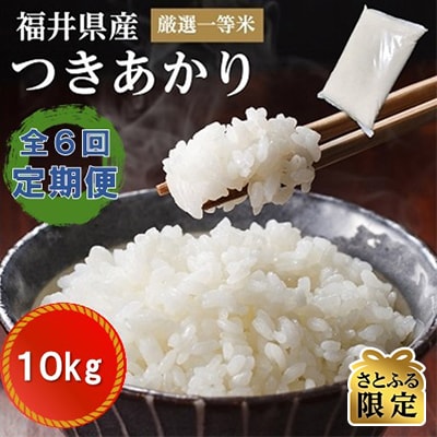 【2ヵ月毎定期便】【さとふる限定】福井県産つきあかり　白米10kg　若狭の恵のお米 全6回