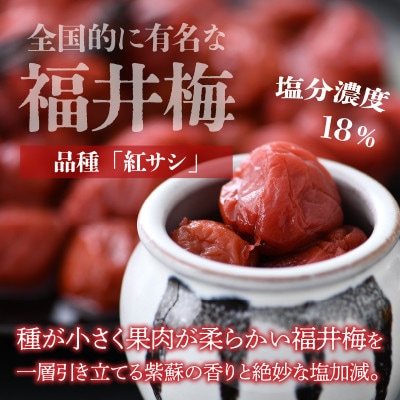 レビューキャンペーン中!自家製梅干し(900g×2箱)