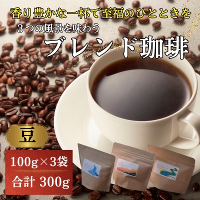 自家焙煎珈琲豆300g 飲み比べ小浜セット(豆)