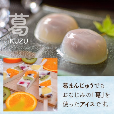 新食感!シャリっと もっちり葛アイス フルーツミルクバー 10本入り