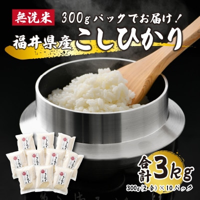 レビューキャンペーン!【福井県産】無洗米こしひかり2合(約300g)×10パック(精米)　計3kg