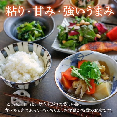 【福井県産】無洗米こしひかり2合(約300g)×10パック(精米)　計3kg