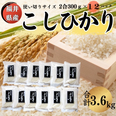 【福井県産】精米こしひかり2合(約300g)×12パック
