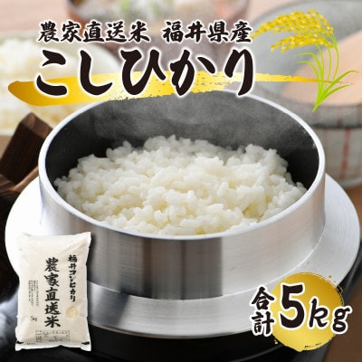 先行受付　令和7年産【農家直送米】福井こしひかり5kg　