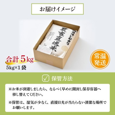 先行受付　令和7年産【農家直送米】福井こしひかり5kg　