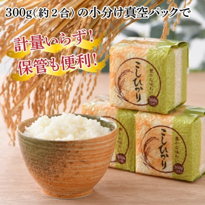 レビューキャンペーン!【真空パック】福井こしひかり2合×10個　計3kg