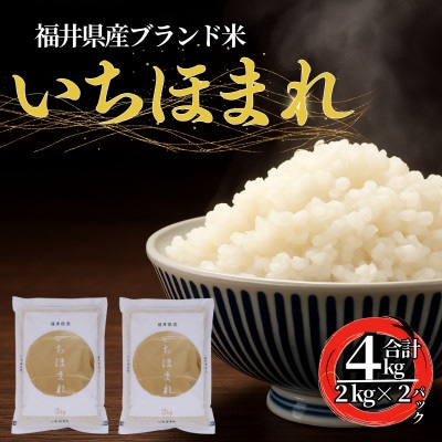 福井県産いちほまれ　精米　2kg×2袋(合計4kg)福井県生まれのブランド米