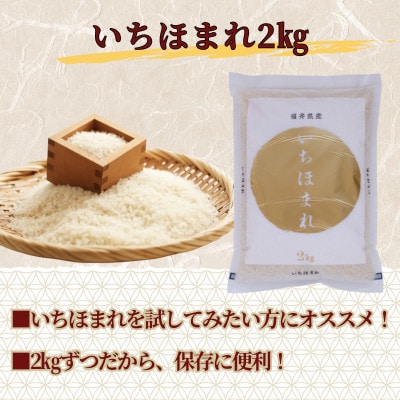 福井県産いちほまれ　精米　2kg×3袋(合計6kg)福井県生まれのブランド米