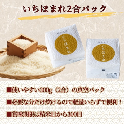 福井県産ブランド米　いちほまれ　300g(2合)×9個　真空パック