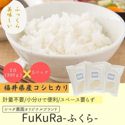 農家直送　福井県産こしひかり　FukuRa(ふくら)　2合×5袋 【便利な小分け・ギフト】精米