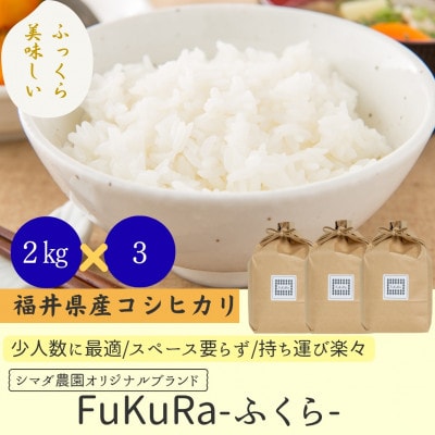 農家直送　福井県産こしひかり FukuRa(ふくら)　精米 2kg×3袋 【計6kg】　美味しいお米