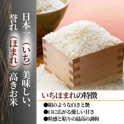 【福井県産ブランド米　いちほまれ300g(2合)×6個セット