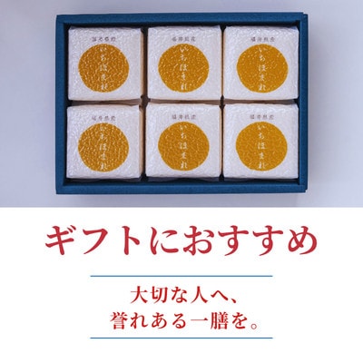 【福井県産ブランド米　いちほまれ300g(2合)×6個セット