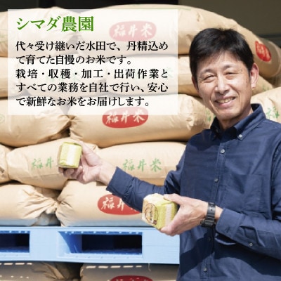 【毎月定期便】農家直送米福井こしひかり5kg全3回